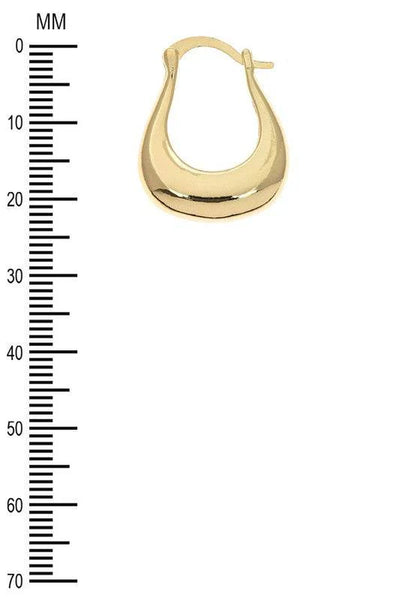 Iconic Chunky Hoop Earrings